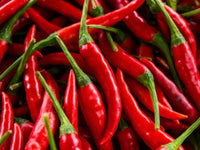 Long Red Cayenne Pepper Seeds