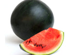 Blacktail Mountain Watermelon Seed