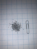 Black Eyed Susan Seeds