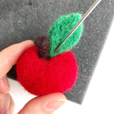 Needle Felting Kit