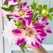 Load image into Gallery viewer, Saint Martin