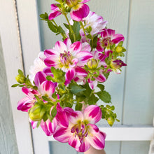 Load image into Gallery viewer, Saint Martin