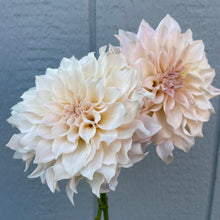 Load image into Gallery viewer, Cafe au Lait