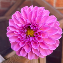 Load image into Gallery viewer, Westerton Folly