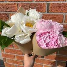 Load image into Gallery viewer, 2026 Peony Pre-Order