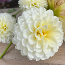 Load image into Gallery viewer, Creamy