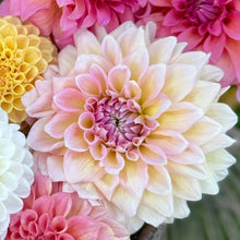 Load image into Gallery viewer, Castle Drive