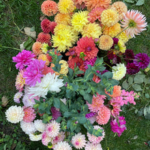 Load image into Gallery viewer, 2026 Bulk Flower Bucket