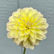 Load image into Gallery viewer, Skeena Harmonies (CAN)