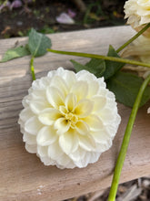 Load image into Gallery viewer, Creamy