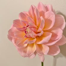 Load image into Gallery viewer, Sheer Heaven