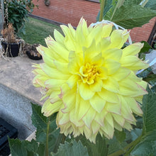 Load image into Gallery viewer, Keith H