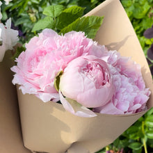 Load image into Gallery viewer, 2026 Peony Pre-Order