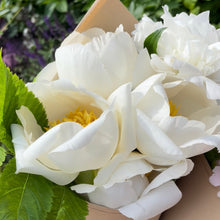 Load image into Gallery viewer, 2026 Peony Pre-Order