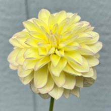 Load image into Gallery viewer, Skeena Harmonies (CAN)