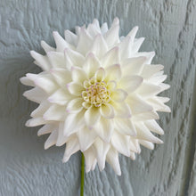 Load image into Gallery viewer, Bowser Mr Jack (CAN)