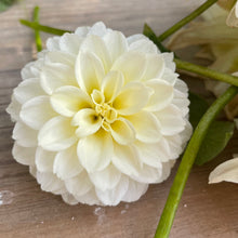 Load image into Gallery viewer, Creamy