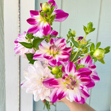 Load image into Gallery viewer, Saint Martin