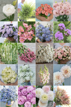 Load image into Gallery viewer, 2026 CUT FLOWER MIX Seedling Pre-Order