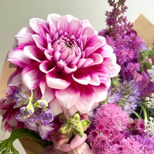 Load image into Gallery viewer, Aitara Diadem