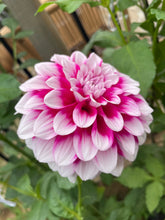 Load image into Gallery viewer, Aitara Diadem