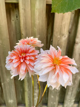 Load image into Gallery viewer, AC P