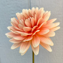 Load image into Gallery viewer, Carolina Wagemans