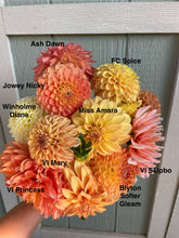 Load image into Gallery viewer, Miss Amara