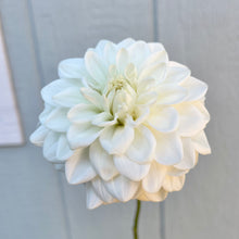 Load image into Gallery viewer, Bowser Cloud (CAN)