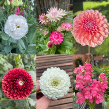 Load image into Gallery viewer, 2026 CUT FLOWER MIX Seedling Pre-Order