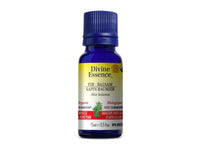 Divine Essence - Balsam Fir Organic Essential Oil