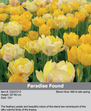 Load image into Gallery viewer, Tulip Bulbs