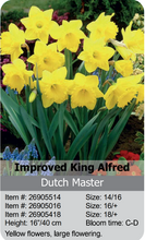 Load image into Gallery viewer, Daffodil Bulbs