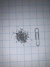 Load image into Gallery viewer, Black Eyed Susan Seeds