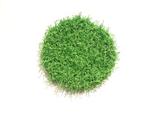 Load image into Gallery viewer, Dish Scrubber Pad