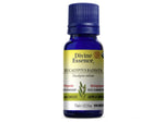 Divine Essence - Eucalyptus Organic Essential Oil